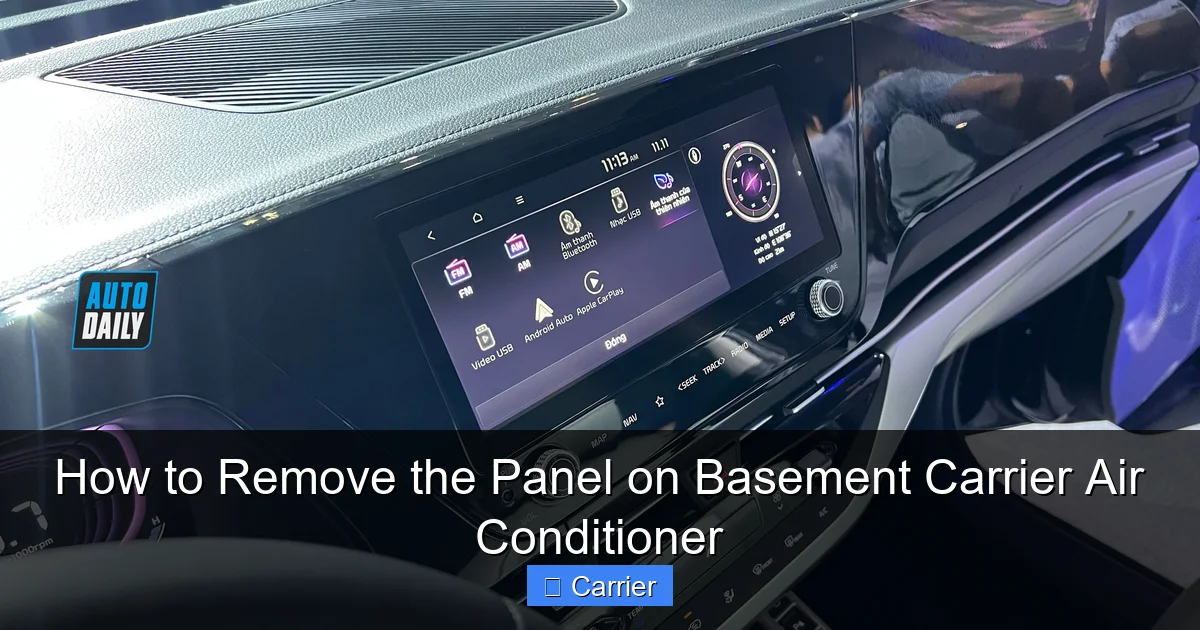 How to Remove the Panel on Basement Carrier Air Conditioner