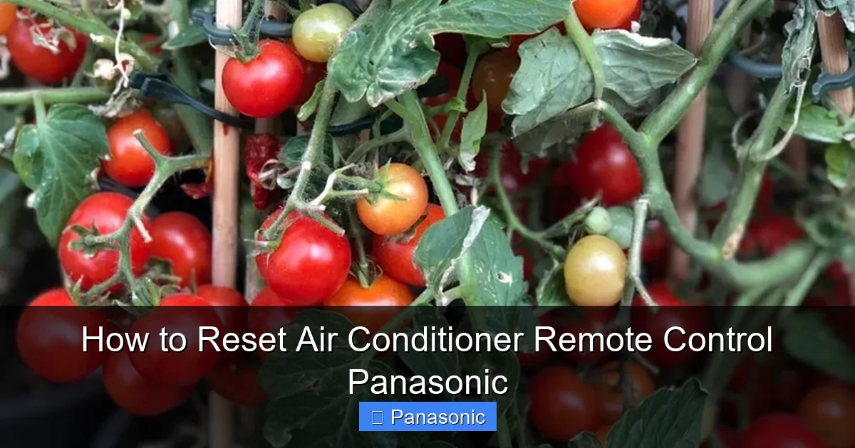 How to Reset Air Conditioner Remote Control Panasonic