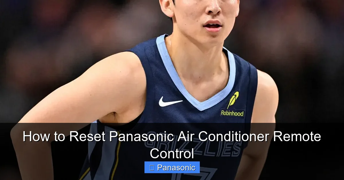 How to Reset Panasonic Air Conditioner Remote Control
