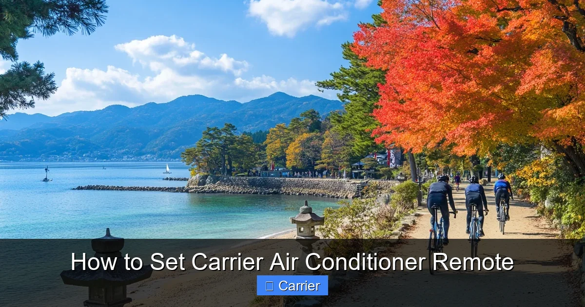 How to Set Carrier Air Conditioner Remote