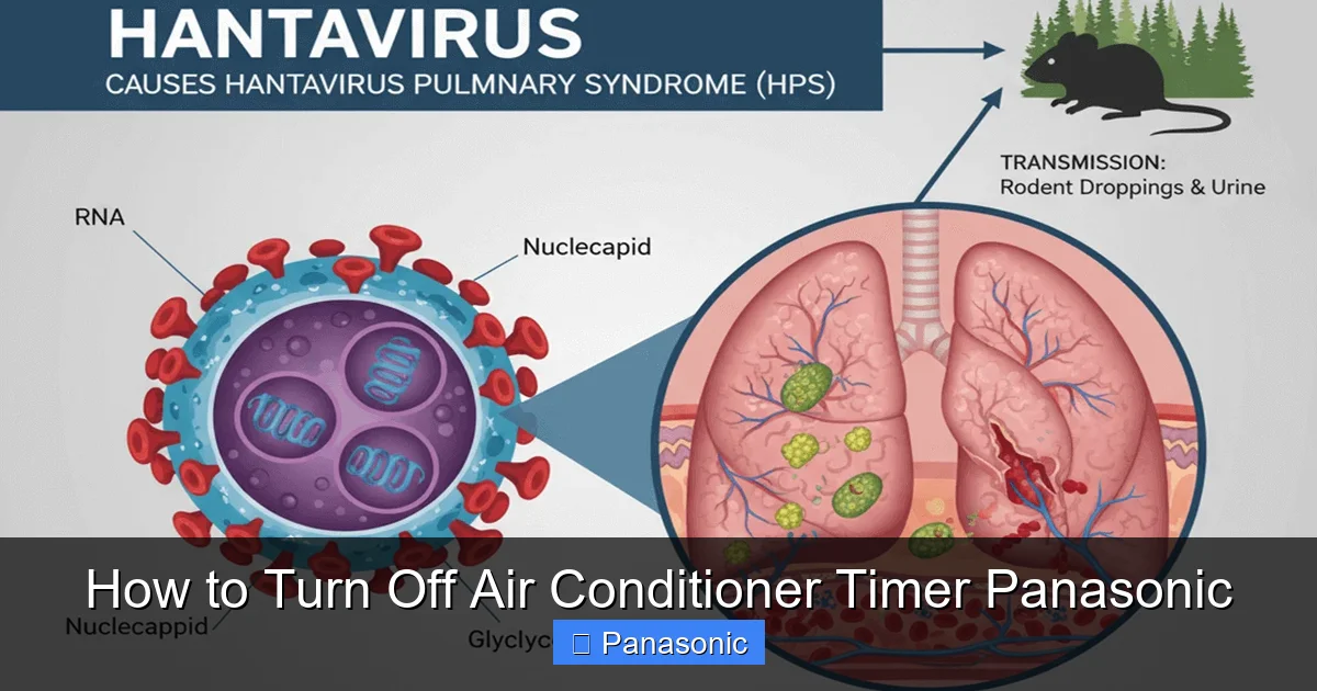 How to Turn Off Air Conditioner Timer Panasonic