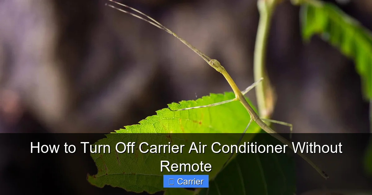 How to Turn Off Carrier Air Conditioner Without Remote