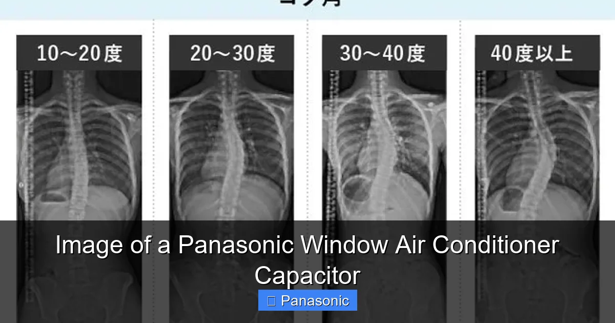 Image of a Panasonic Window Air Conditioner Capacitor