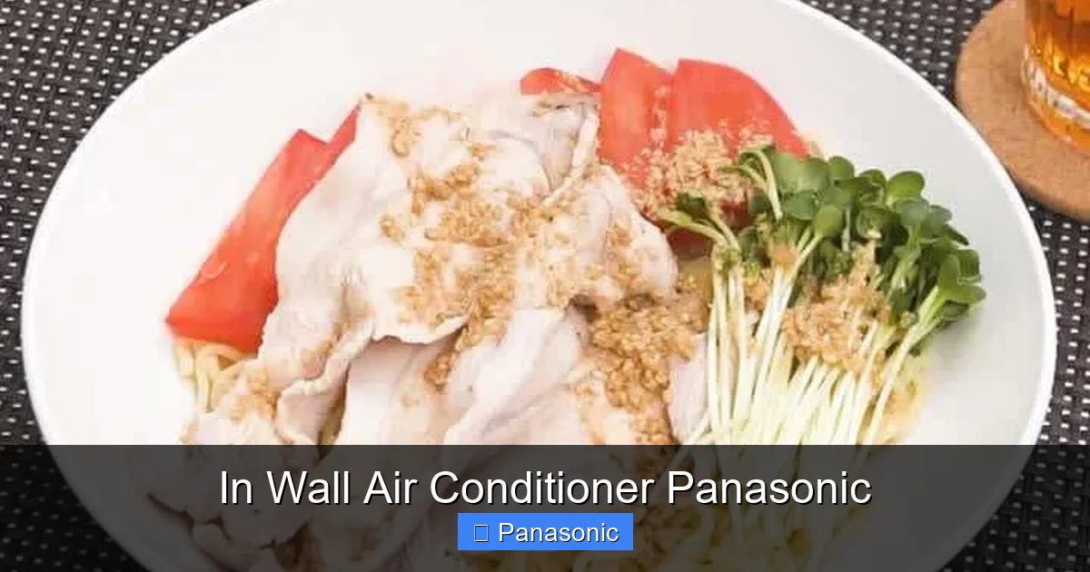 In Wall Air Conditioner Panasonic