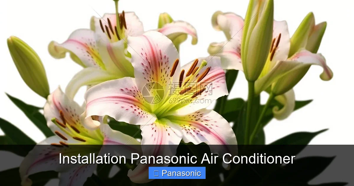 Installation Panasonic Air Conditioner