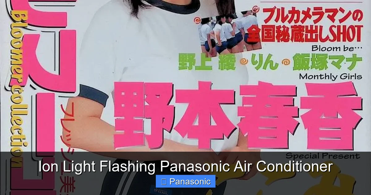 Ion Light Flashing Panasonic Air Conditioner