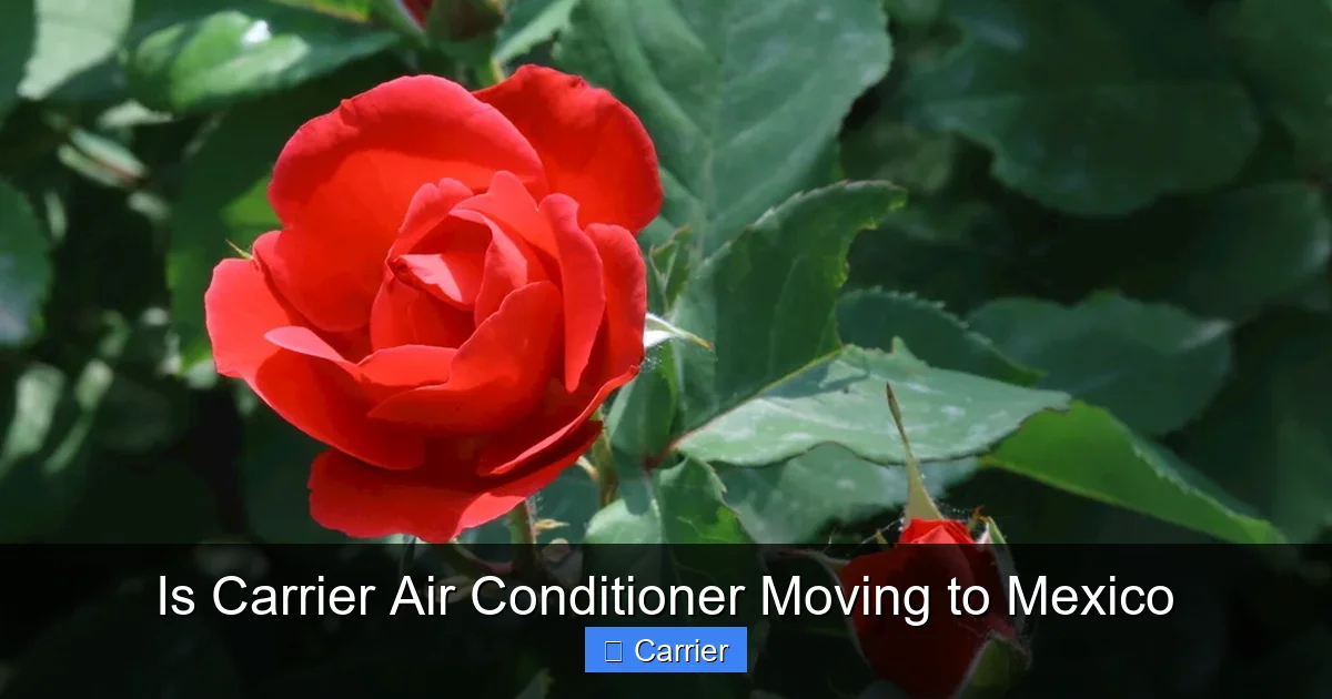 Is Carrier Air Conditioner Moving to Mexico