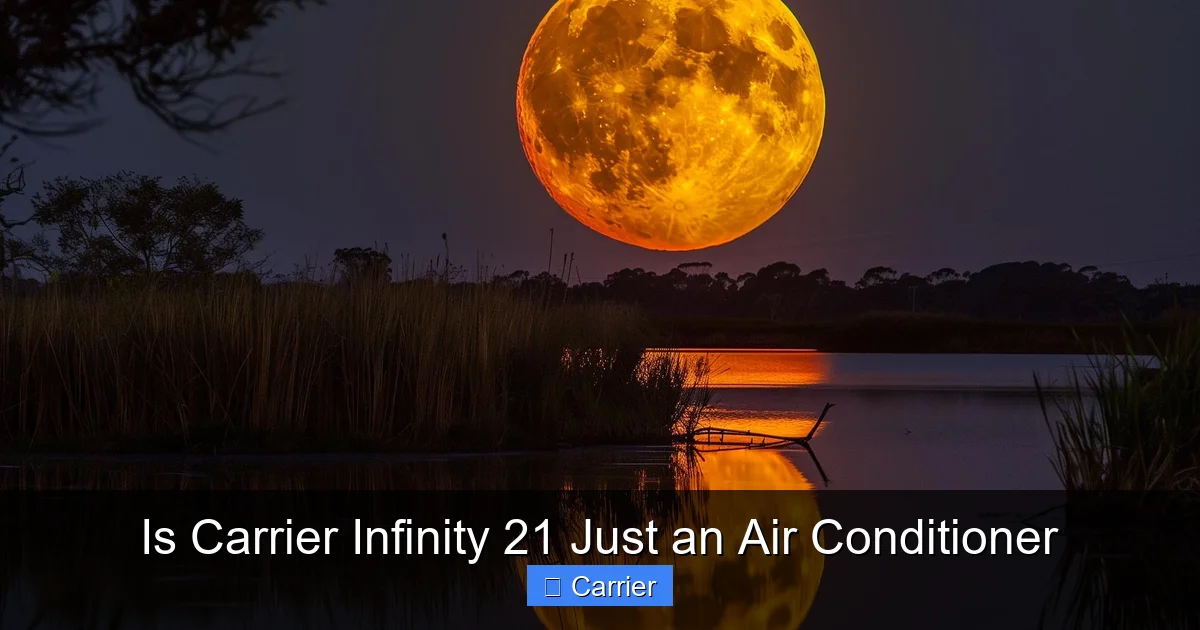 Is Carrier Infinity 21 Just an Air Conditioner