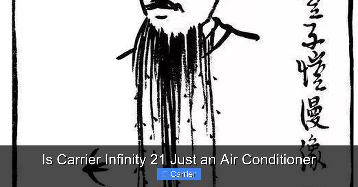 Is Carrier Infinity 21 Just an Air Conditioner