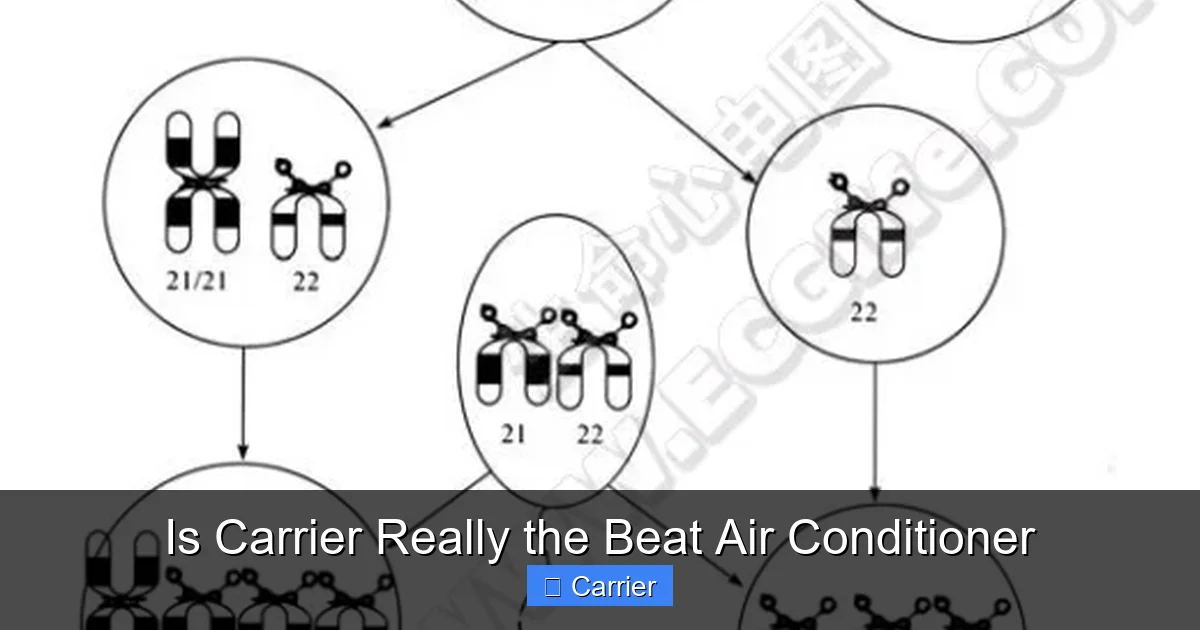 Is Carrier Really the Beat Air Conditioner