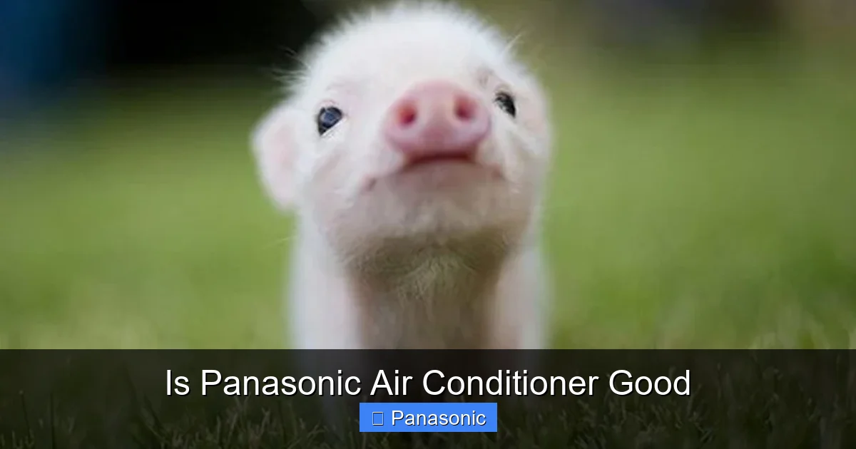 Is Panasonic Air Conditioner Good