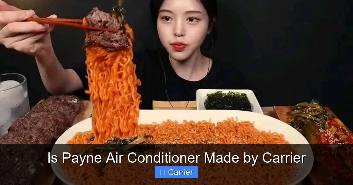 Is Payne Air Conditioner Made by Carrier