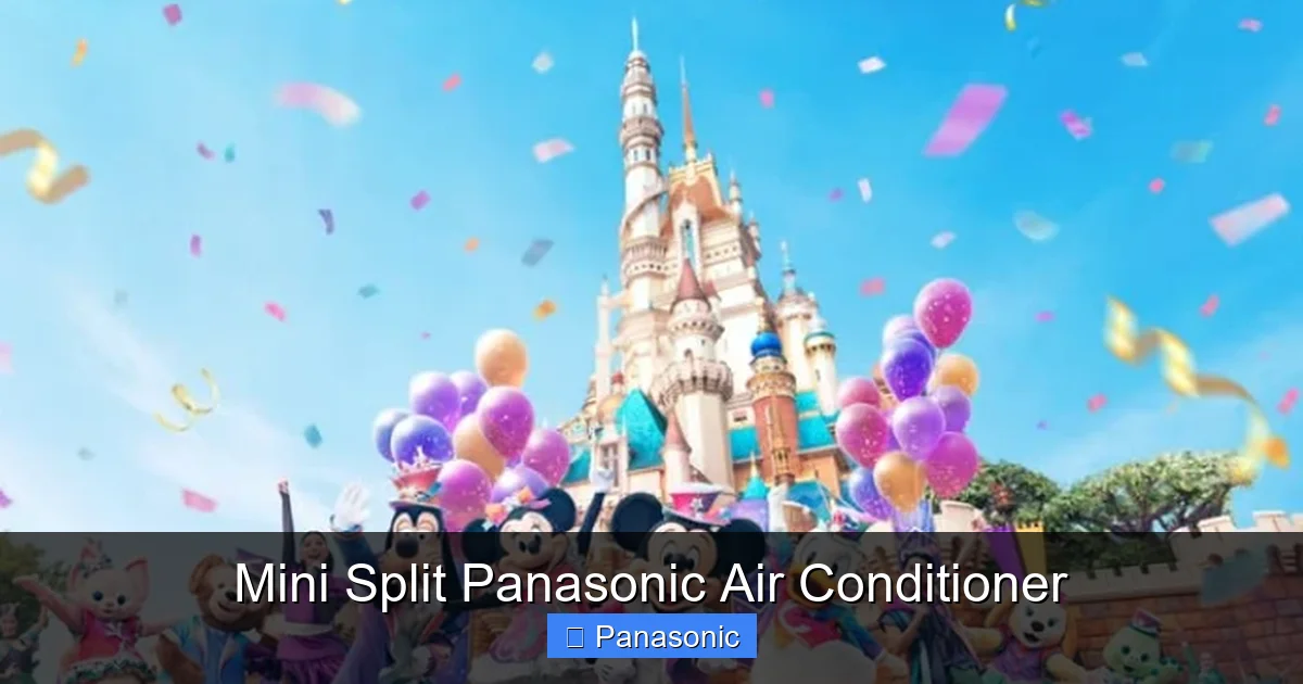 Mini Split Panasonic Air Conditioner