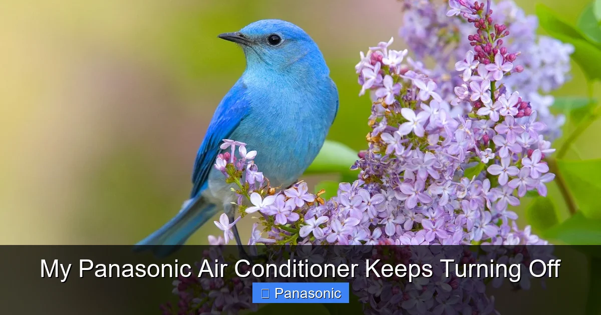 My Panasonic Air Conditioner Keeps Turning Off