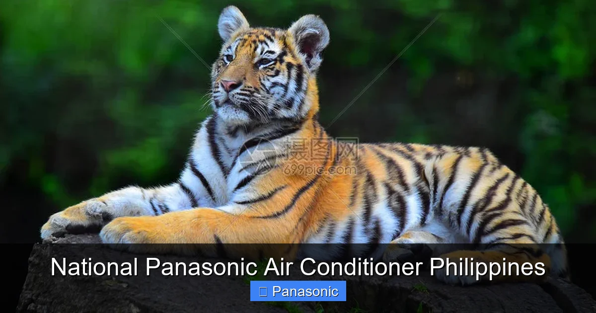 National Panasonic Air Conditioner Philippines