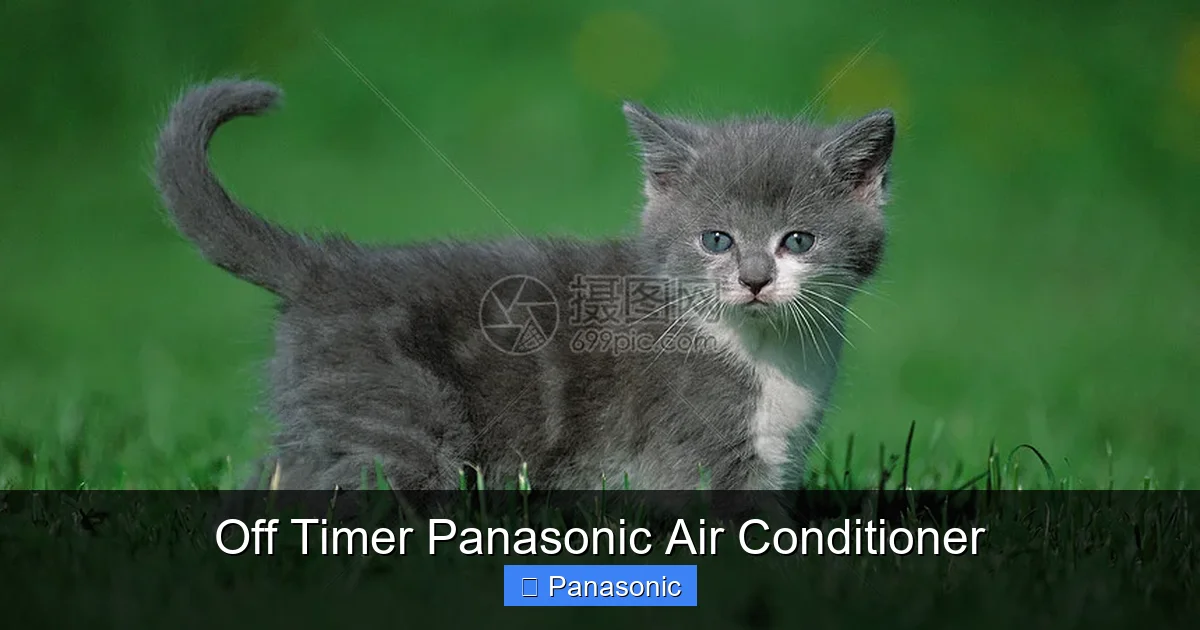 Off Timer Panasonic Air Conditioner