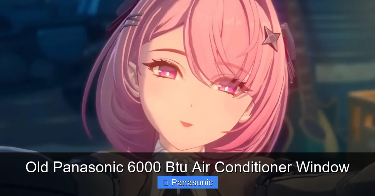 Old Panasonic 6000 Btu Air Conditioner Window