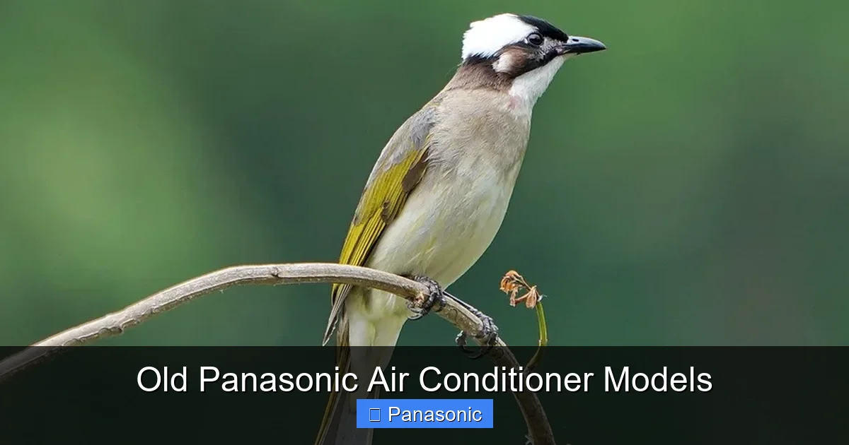 Old Panasonic Air Conditioner Models