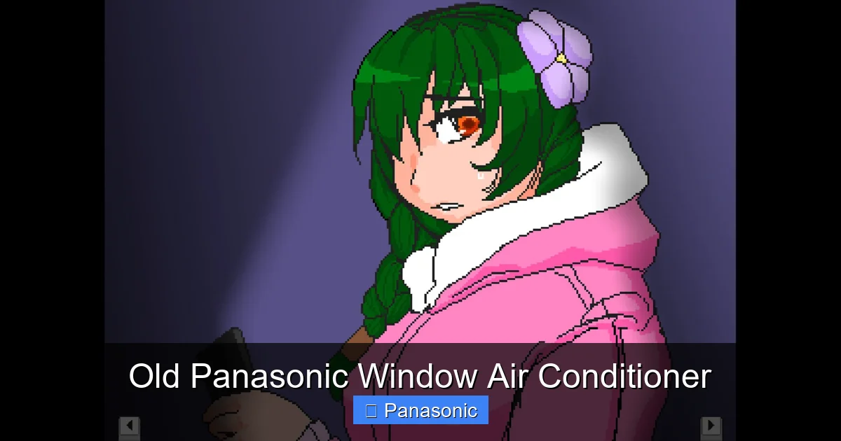 Old Panasonic Window Air Conditioner