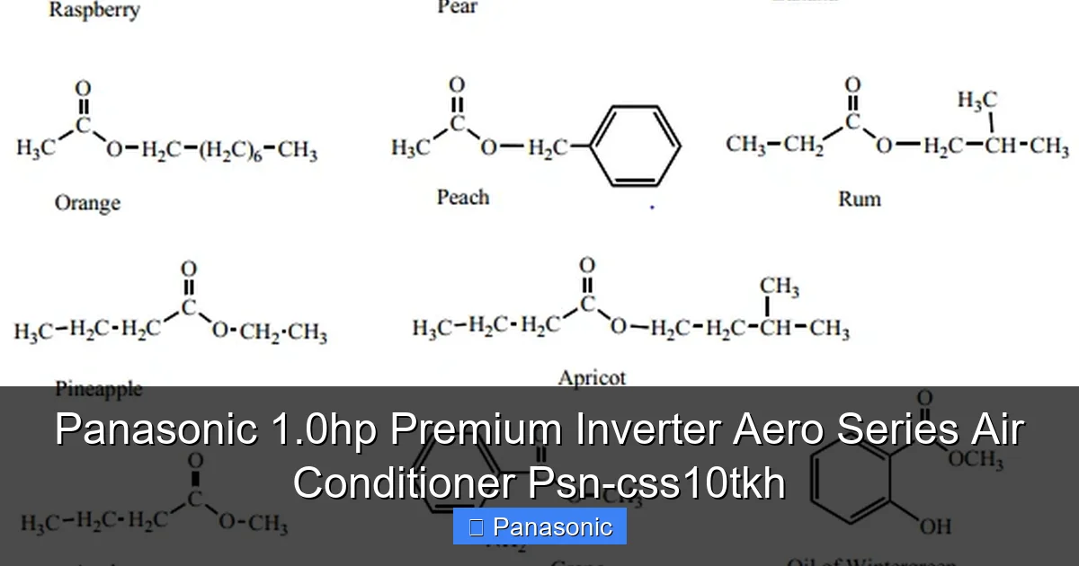 Panasonic 1.0hp Premium Inverter Aero Series Air Conditioner Psn-css10tkh