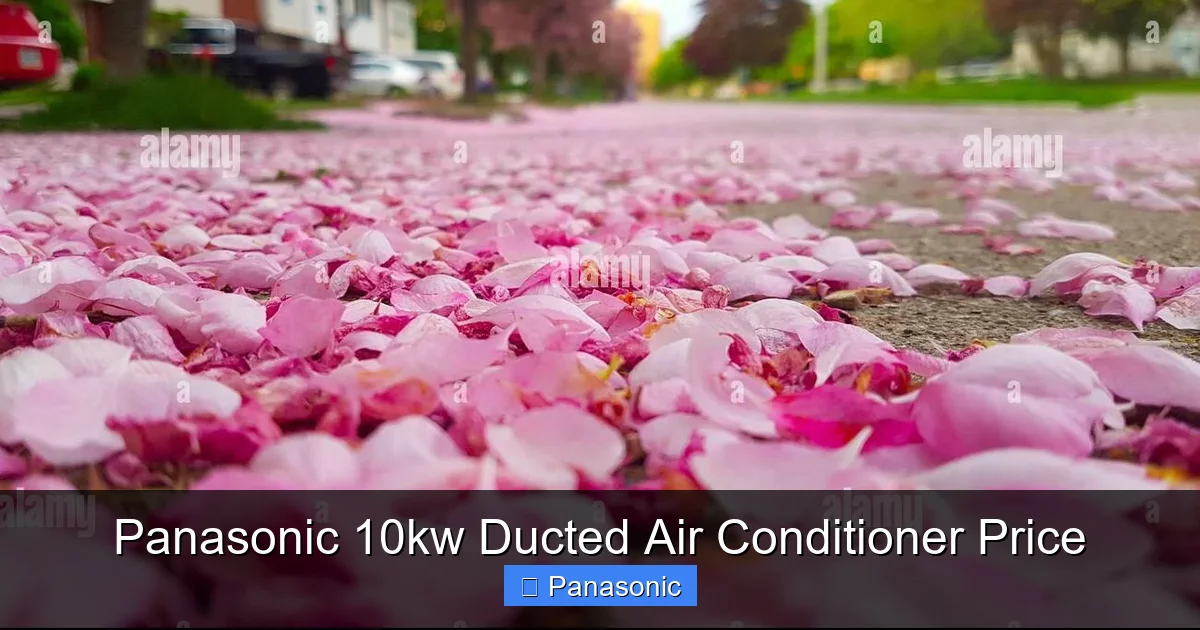 Panasonic 10kw Ducted Air Conditioner Price