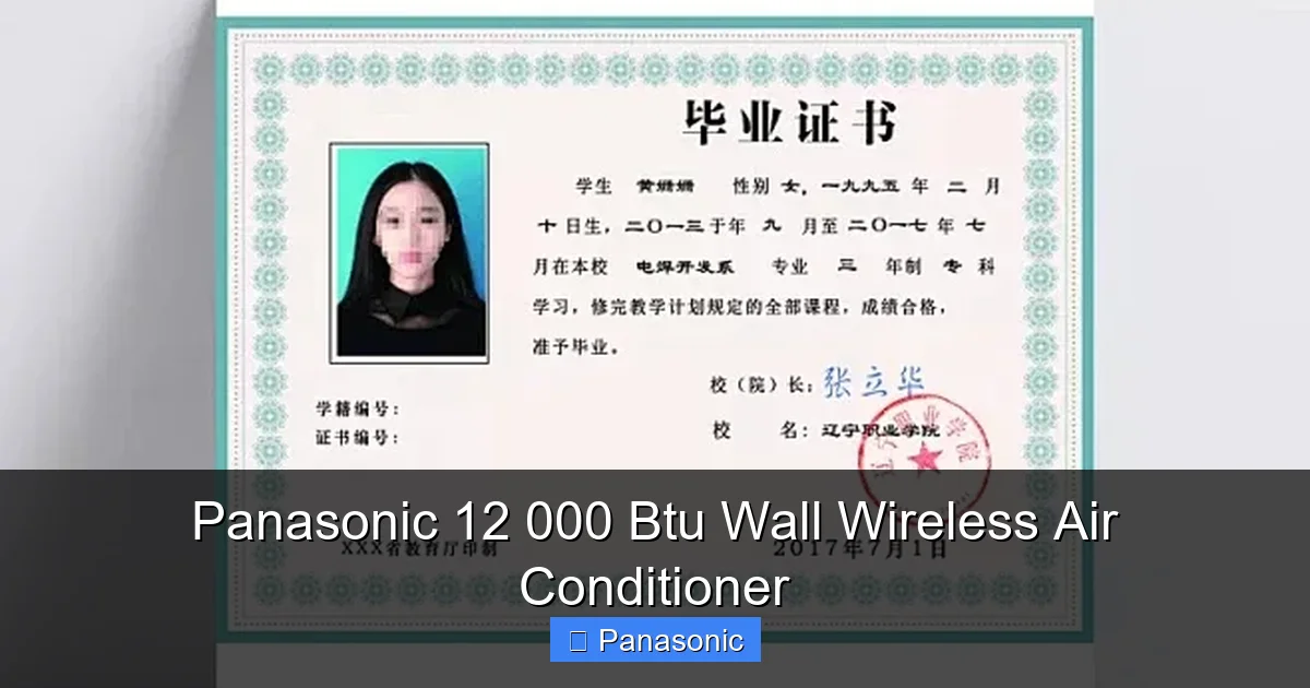 Panasonic 12 000 Btu Wall Wireless Air Conditioner