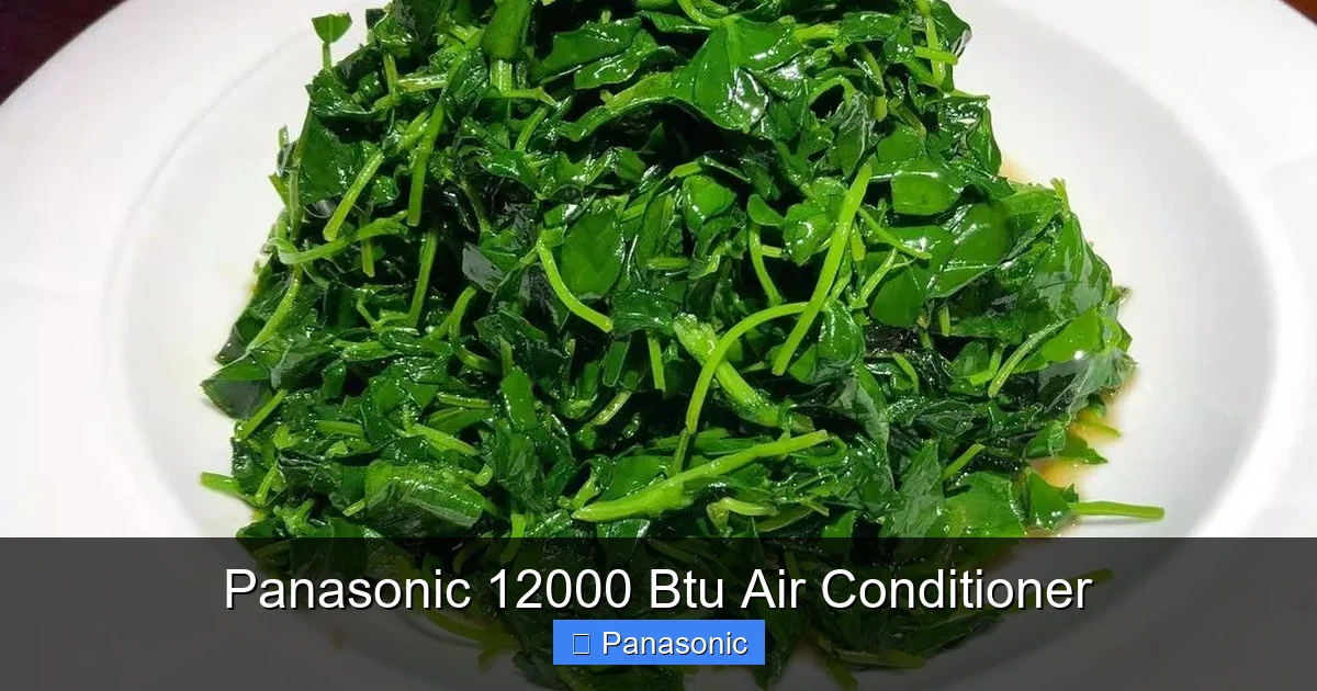 Panasonic 12000 Btu Air Conditioner