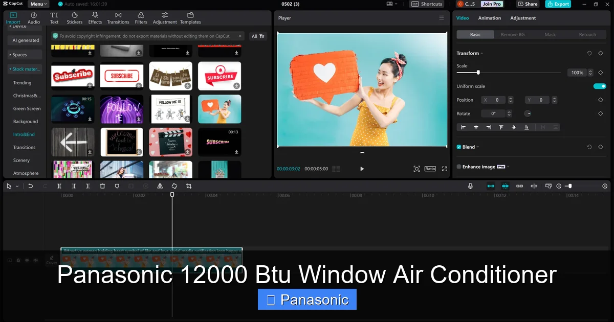 Panasonic 12000 Btu Window Air Conditioner