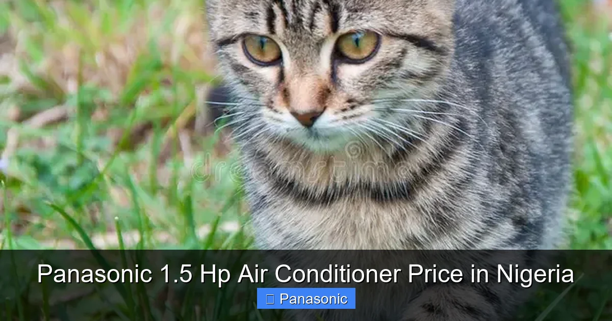 Panasonic 1.5 Hp Air Conditioner Price in Nigeria