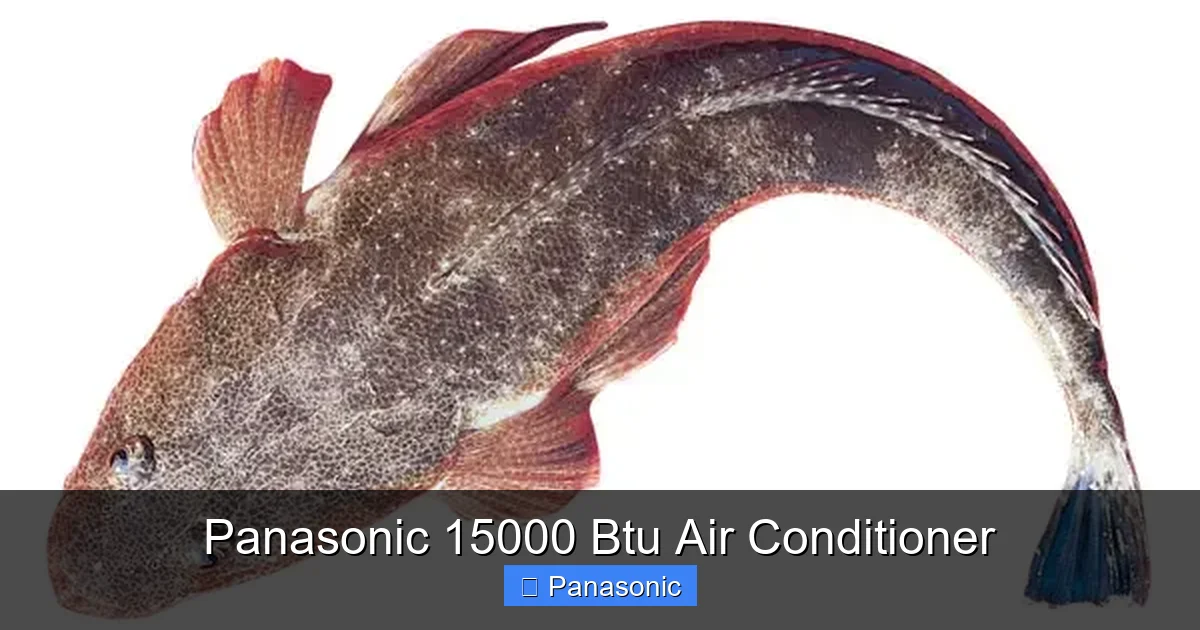 Panasonic 15000 Btu Air Conditioner