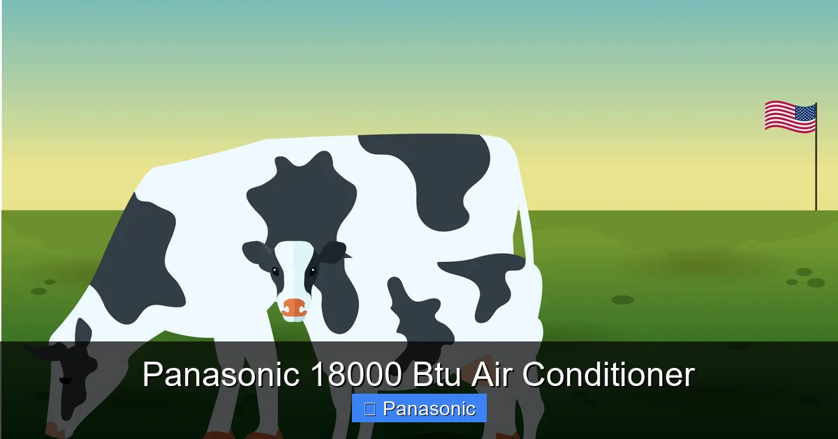 Panasonic 18000 Btu Air Conditioner
