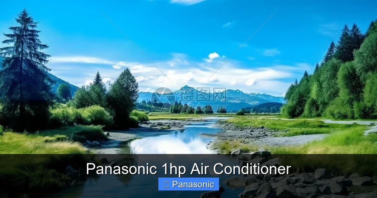 Panasonic 1hp Air Conditioner
