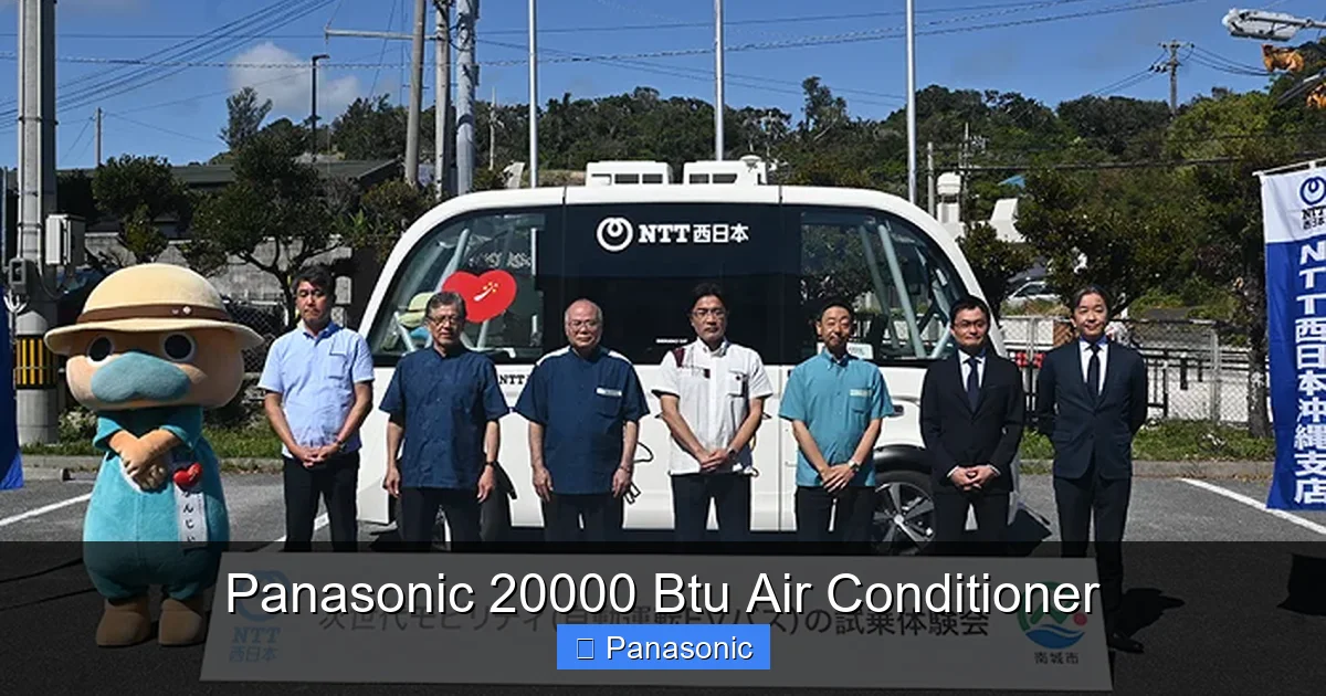 Panasonic 20000 Btu Air Conditioner