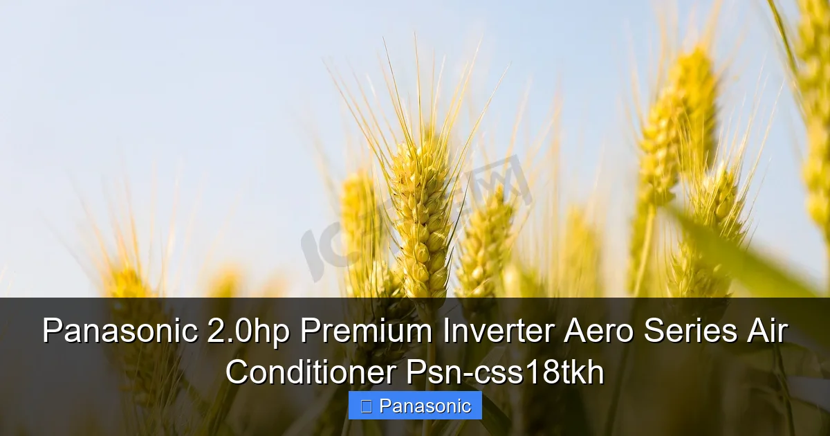 Panasonic 2.0hp Premium Inverter Aero Series Air Conditioner Psn-css18tkh