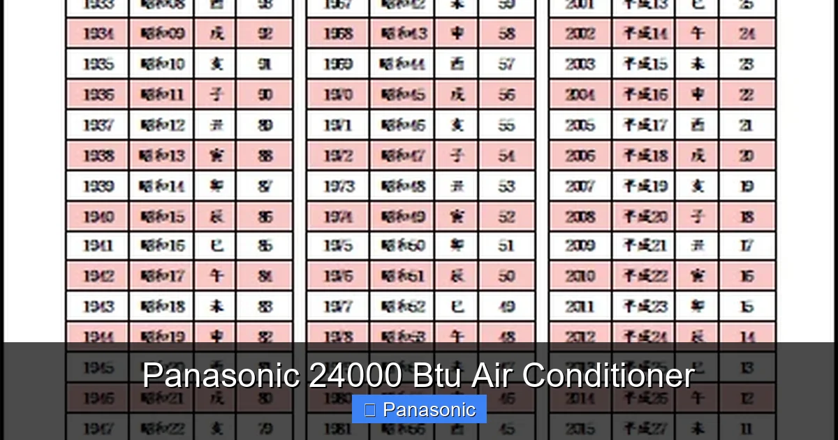 Panasonic 24000 Btu Air Conditioner