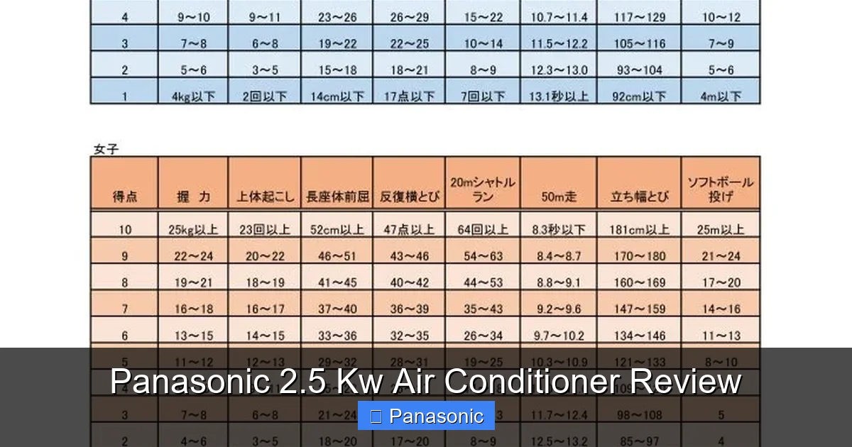 Panasonic 2.5 Kw Air Conditioner Review