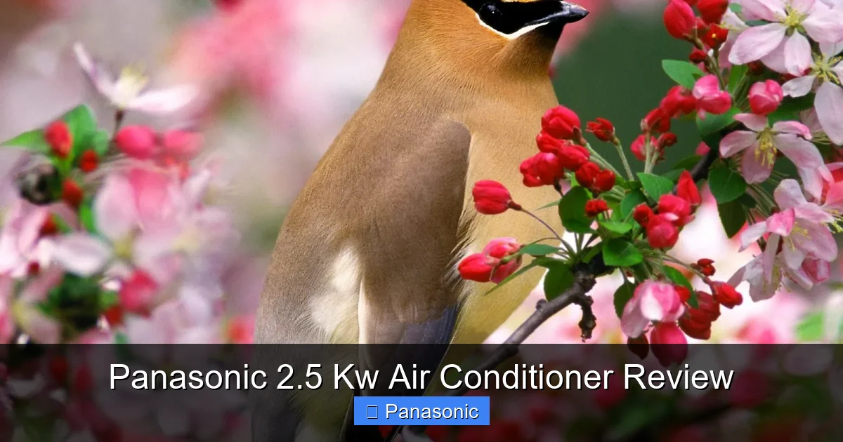 Panasonic 2.5 Kw Air Conditioner Review