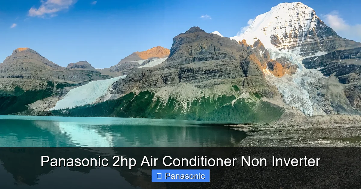 Panasonic 2hp Air Conditioner Non Inverter