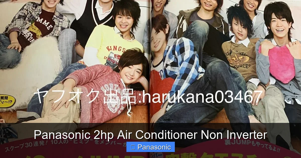 Panasonic 2hp Air Conditioner Non Inverter