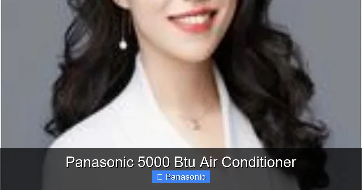Panasonic 5000 Btu Air Conditioner