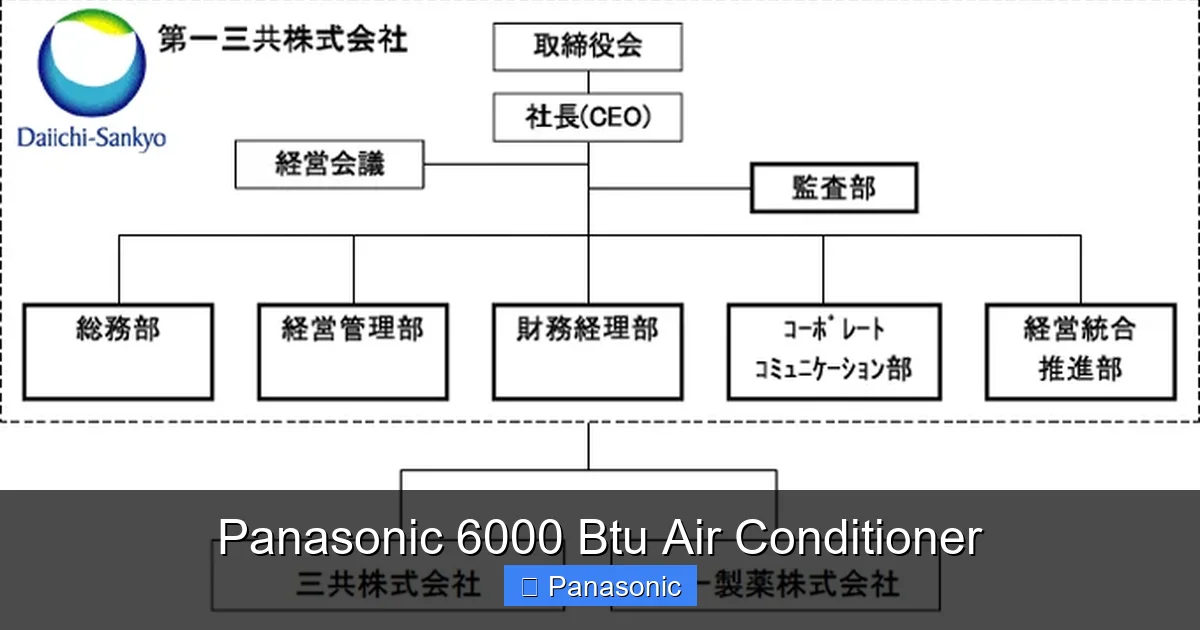 Panasonic 6000 Btu Air Conditioner