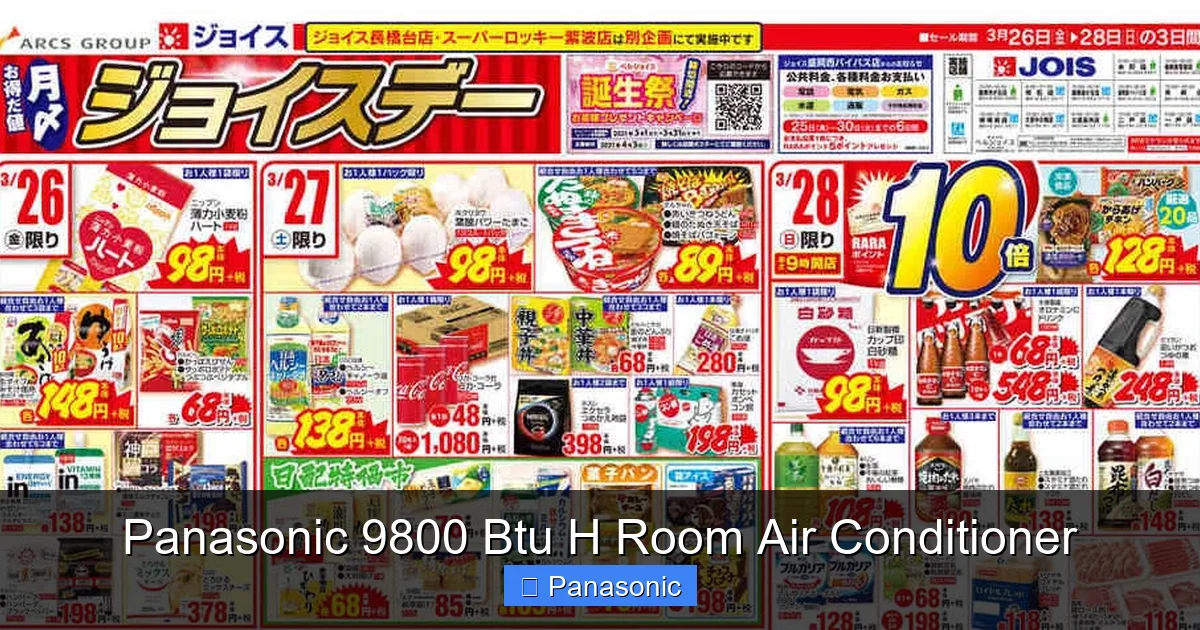 Panasonic 9800 Btu H Room Air Conditioner