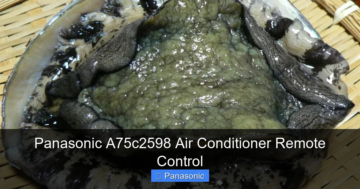Panasonic A75c2598 Air Conditioner Remote Control