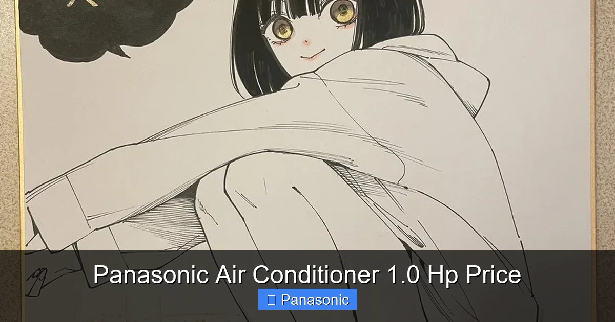 Panasonic Air Conditioner 1.0 Hp Price