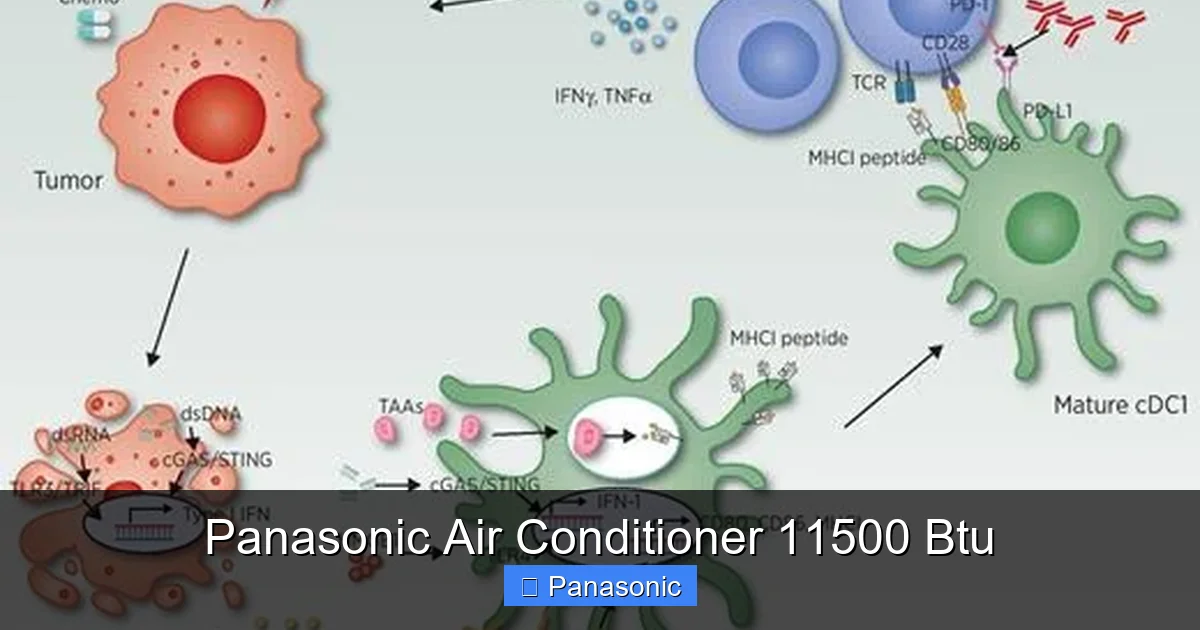 Panasonic Air Conditioner 11500 Btu