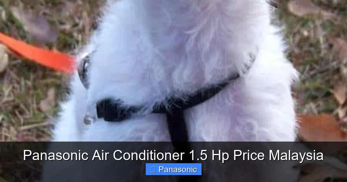 Panasonic Air Conditioner 1.5 Hp Price Malaysia