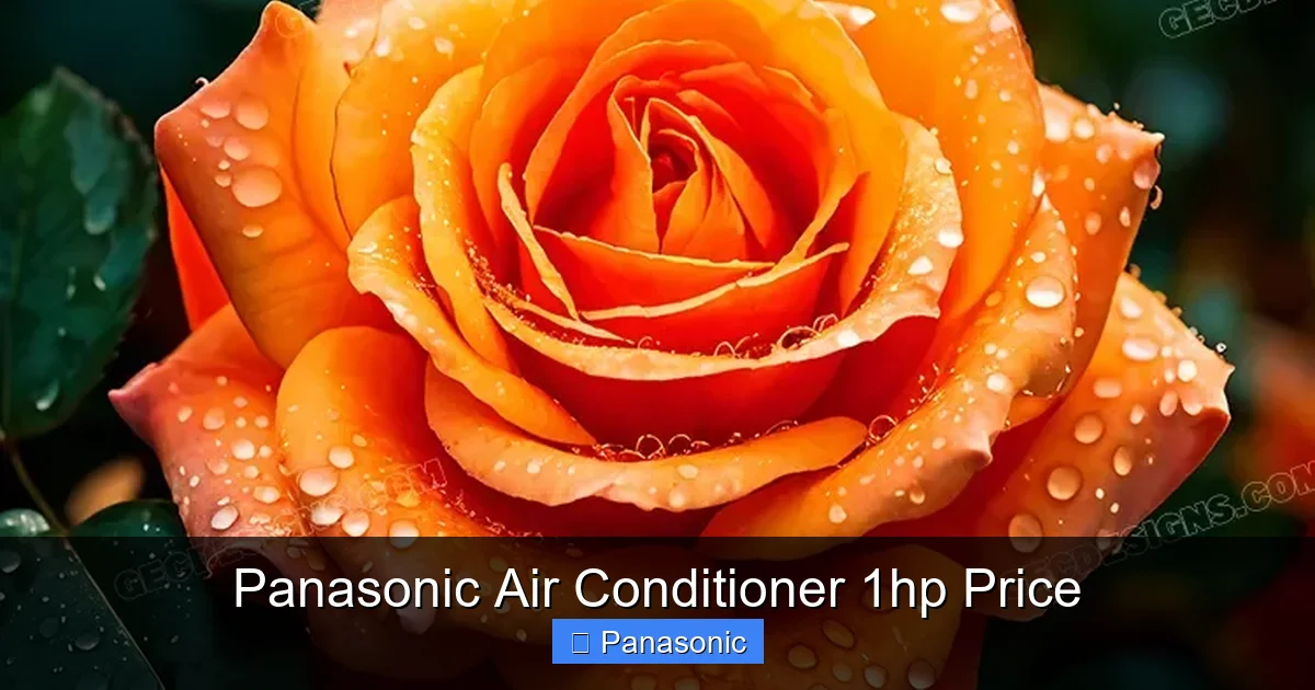 Panasonic Air Conditioner 1hp Price