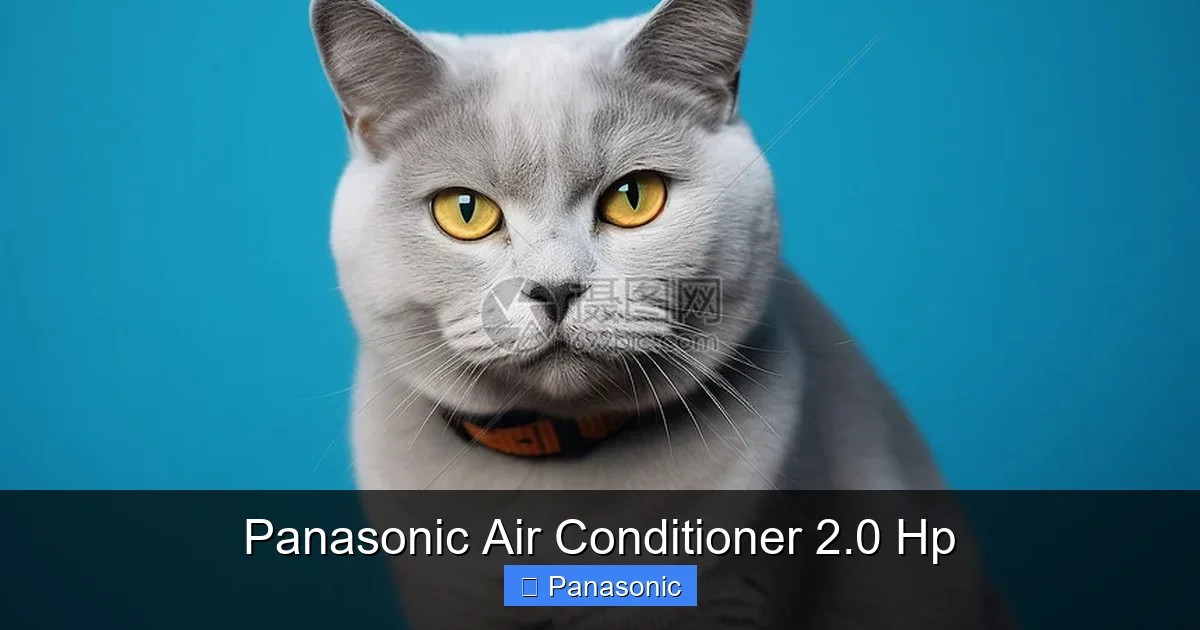 Panasonic Air Conditioner 2.0 Hp
