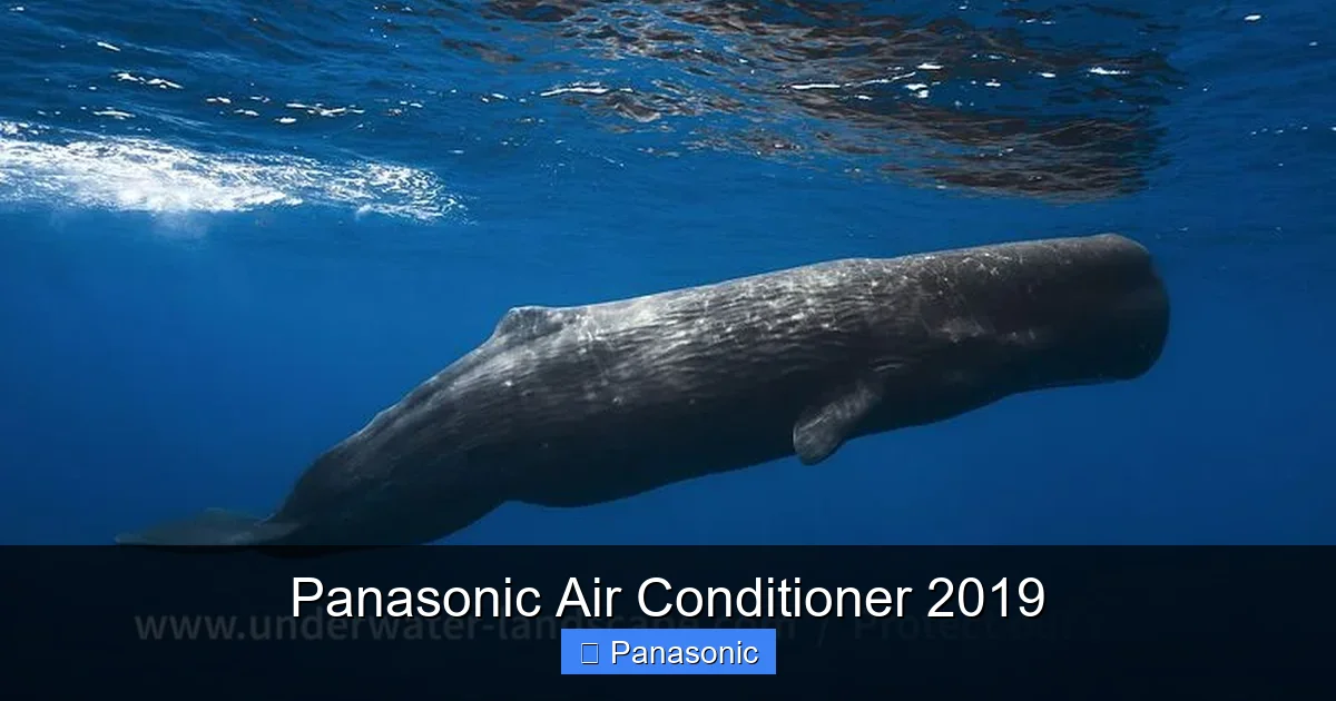 Panasonic Air Conditioner 2019