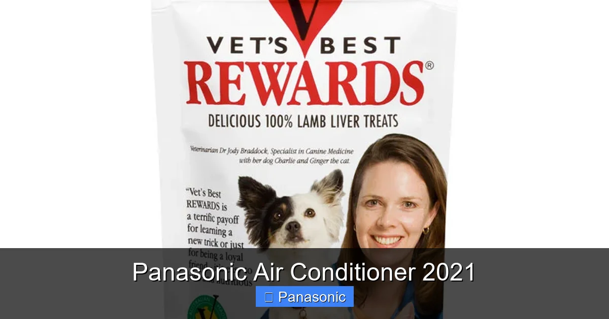Panasonic Air Conditioner 2021